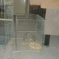 دو عدد قفس