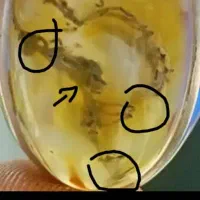 انگشتر کهربا کمیاب از سنگاپور خریداری شده موک ل