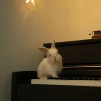 آموزش پیانو برای کودکان و بانوان