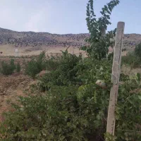 فروش باغ ثمری  ربع ساعتی سپیدان