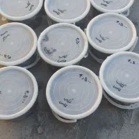 خرمای کبکاب درجه ۱ بهبهان|خوردنی و آشامیدنی|تهران, بلورسازی|دیوار