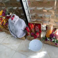 میوه ارایی تم یلدا|خدمات پذیرایی، مراسم|همدان, |دیوار