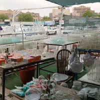 نیازمند به دو فروشنده خانم هستیم