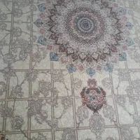 فروش فرش ۷۰۰ شانه نو