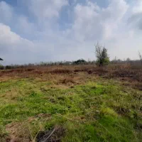 زمین مسکونی ویلایی واپارتمان وتجاری املاک تیراژه