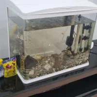 فروش آکواریم