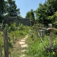 اجاره کلبه روستایی|اجارهٔ کوتاه‌مدت ویلا و باغ|قائم‌شهر, |دیوار