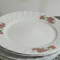 پلوخوری نونو