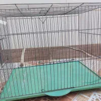 فروش لانه عروس هلندی و قفس قناری