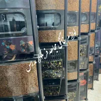 بخاری گازی هوشمند ۸۰۰۰