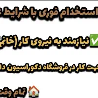 نیروی کار خانم یا اقا جهت دکوراسیون داخلی