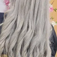 خدمات رنگ و لایت