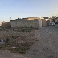 فروش زمین ۱۷۷ متری در داروپخش|فروش زمین و ملک کلنگی|تربتحیدریه, داروپخش|دیوار