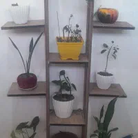 استند گل با تعدادی گل