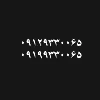 09129330065