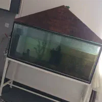 آکواریوم باتمام وسایل|ماهی|امیدیه, |دیوار