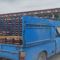 نیسان مدل85انژکتور دوگانه کمپرس|خودرو سواری و وانت|نکا, |دیوار