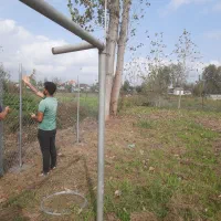 فنس کشی|خدمات پیشه و مهارت|کیاشهر, |دیوار