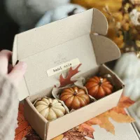 شمع مایا|صنایع دستی و سایر لوازم تزئینی|قم, قم نو|دیوار