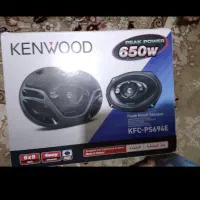 یک اسیپکر نسبتا بزرگ و باند خودرو|سیستم صوتی خانگی|چالوس, |دیوار