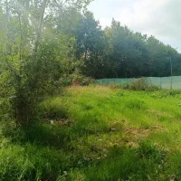 زمین-1200متر-شالی-و-مسکونی-گیلان-رشت-سنگر