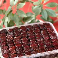 فروش خرده وعمده خرما کبکاب اهرم