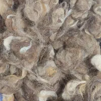 پشم گوسفند شسته شده بدون بو وبسیارتمیز