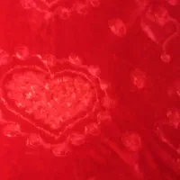 پتو|رختخواب، بالش، پتو|فردیس, منظریه|دیوار