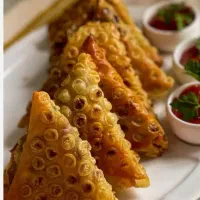 تهیه و پخش سمبوسه های با کیفیت