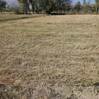 زمین مناسب باغ و ویلا 1300متر|فروش زمین و ملک کلنگی|گلپایگان, |دیوار