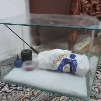 اکواریوم شیشه خم