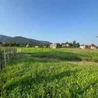 ۴۵۰متر زمین/تاسکوه زیبا
