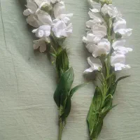 گلدان پایه بلند و گل مصنوعی|گل مصنوعی|تهران, تهرانسر شرقی|دیوار