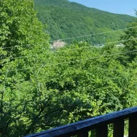 اجاره شبانه ویلا چنگلی تی تی|اجارهٔ کوتاهمدت آپارتمان و سوئیت|زیرآب, |دیوار