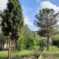 ملوسجان باغ ۳۷۳۶ متر فروش یا تهاتر، سند تک برگ|فروش خانه و ویلا|شیراز, گویم|دیوار