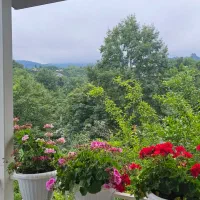فروشنده