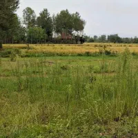 به یک ادمین درجهت همکاری در دفتر املاک نیازمندیم