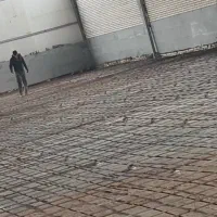 بتن ریزی کف با ماله پروانه ای و تراز لیزری|خدمات پیشه و مهارت|شیراز, گلکوب|دیوار