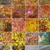 فروش انواع محصولات خانگی