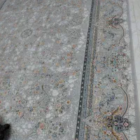 تک ۱۲ متری در حدنونو