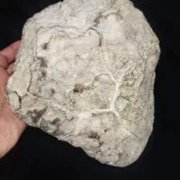 شهاب سنگ قمری ماه مریخی کلکسیونی