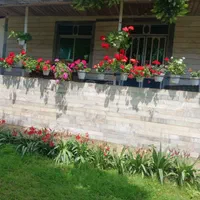 اجاره روزانه/هفتگی/ماهانه آپارتمان ۱۱۰ متری|اجارهٔ کوتاهمدت آپارتمان و سوئیت|ماسال, |دیوار