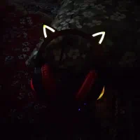 هدفن|لوازم جانبی موبایل و تبلت|فردیس, منظریه|دیوار