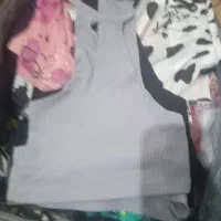 دوستان همگی نو نو