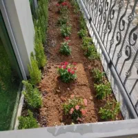 خدمات باغبانی باغچه کاری گل کاری تعویض خاک گلدون|خدمات باغبانی و درختکاری|تهران, صادقیه|دیوار