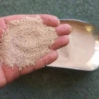بذر گم شده