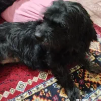 گمشده در ۳۲متری حامدی ۱