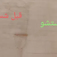 مبل شویی طالبی|خدمات نظافت|مشهد, الهیه|دیوار