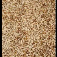 پسته پوک رو ابی و...