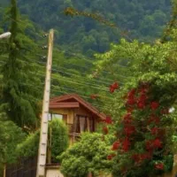 زمین مسکونی خیابان ۷ تیر سند تک برگ